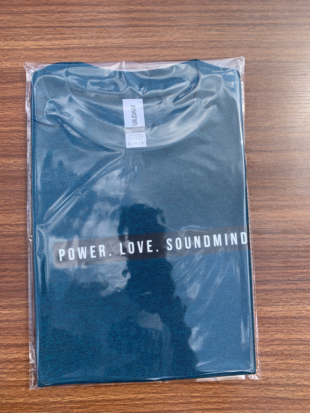 POWER. LOVE. SOUND MIND.